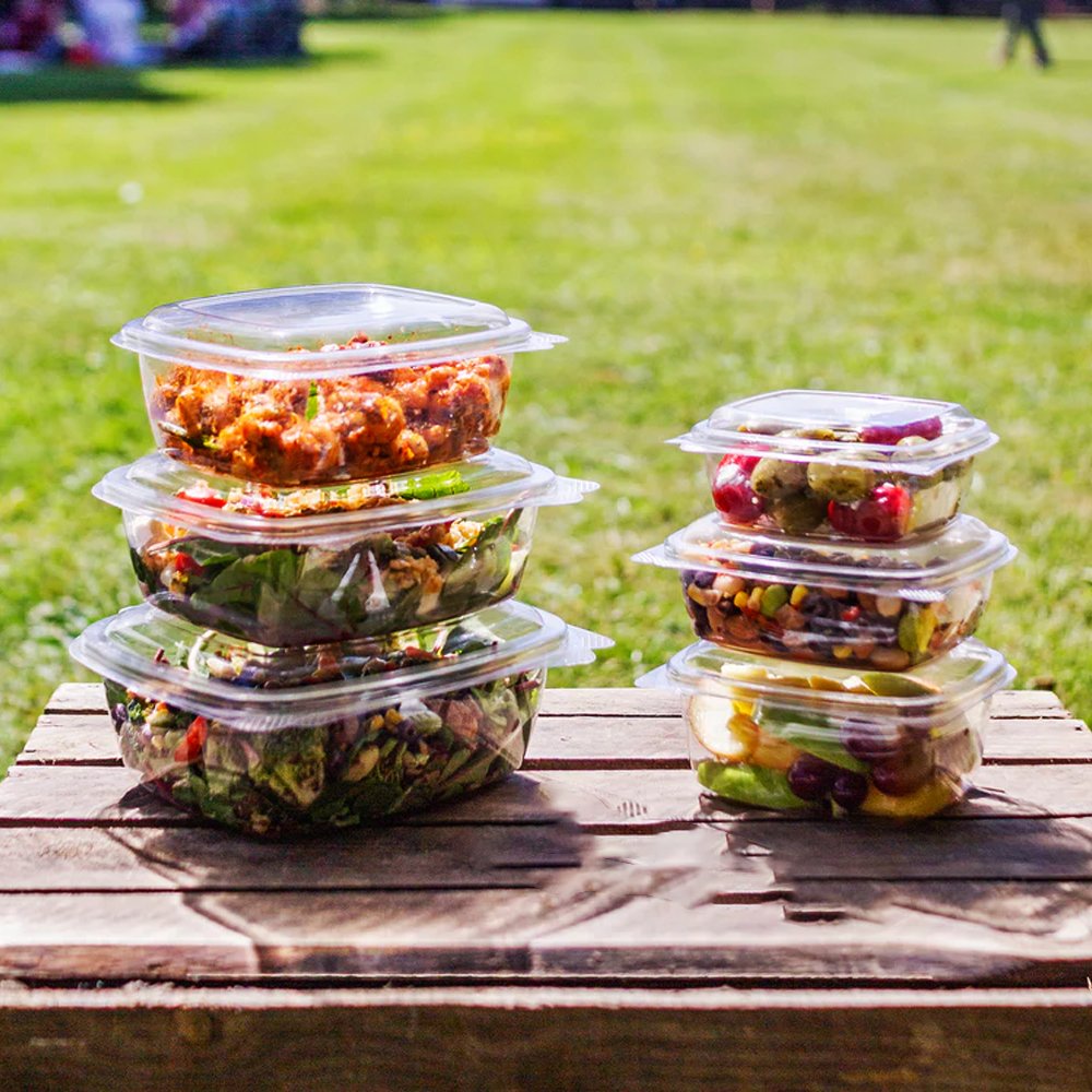 Hinged Lid Containers