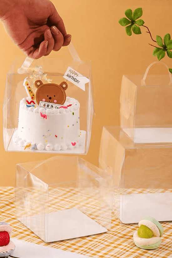 200x200x150mm Clear Square Box With Handle - TEM IMPORTS™