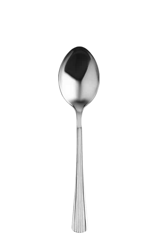 Carlton Stainless Steel Cutlery - Sold In Dozen - TEM IMPORTS™