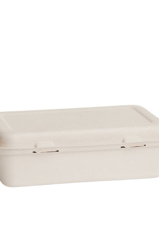 Natural Sugarcane Takeaway Large Snack Pack Food Clam - 250/CTN - TEM IMPORTS™