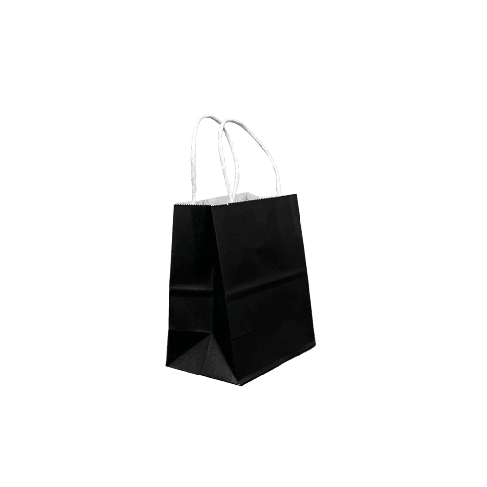 Retail Takeaway Black Twisted Handle Paper Bag Mini - 500/CTN - TEM IMPORTS™