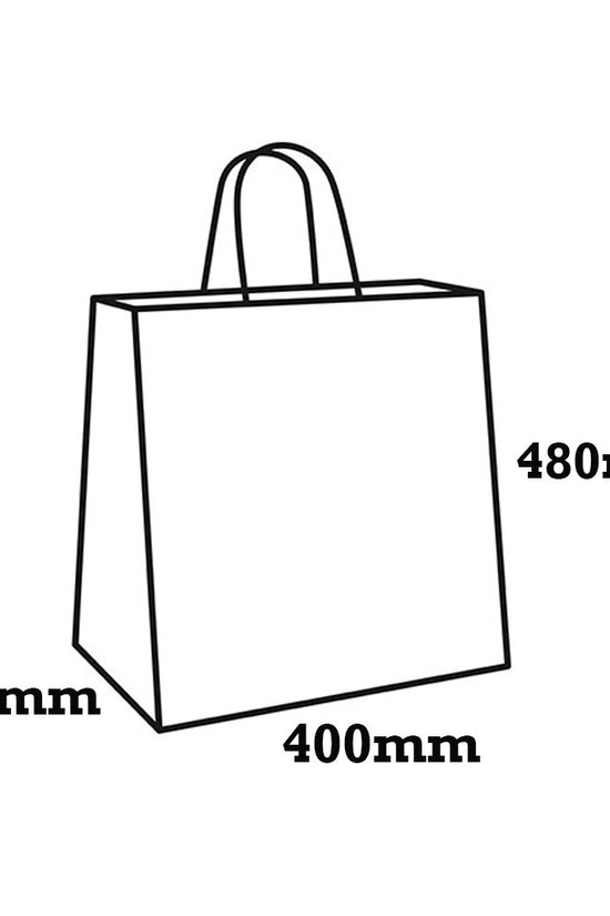 Retail Takeaway Kraft Twisted Handle Paper Bag - Large - TEM IMPORTS™