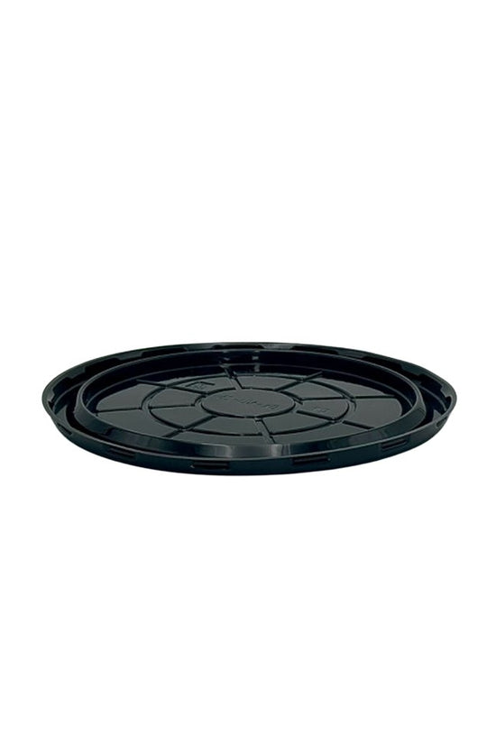 Small Cake Clearview Dome Lid Container - TEM IMPORTS™