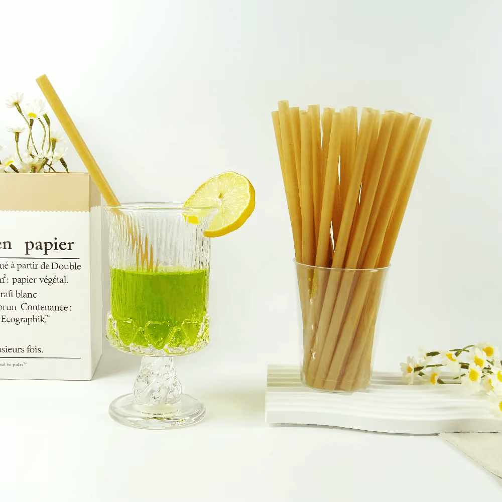Sugarcane Fiber Straw 6mm Regular - TEM IMPORTS™