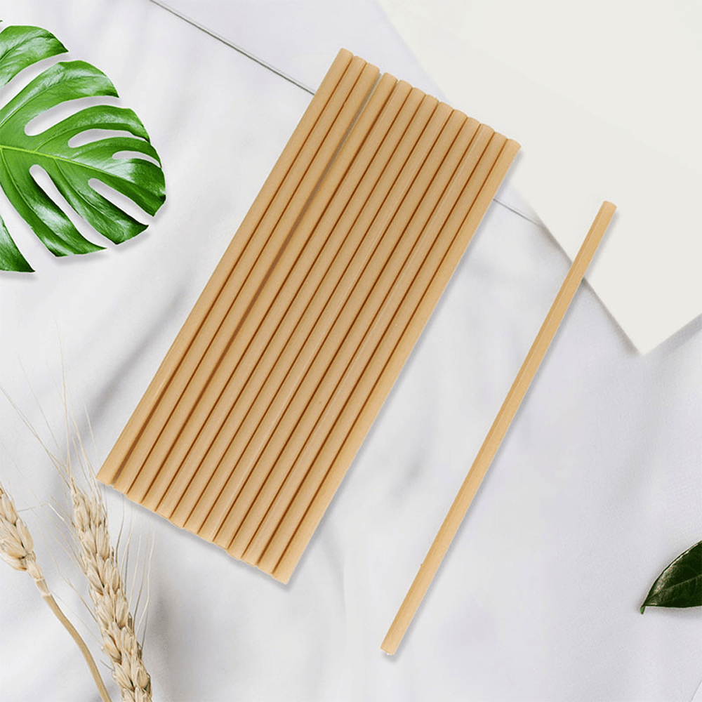 Sugarcane Fiber Straw 6mm Regular - TEM IMPORTS™