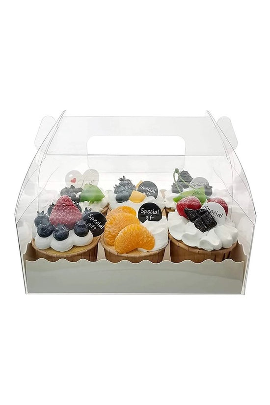 160x90x90 Rectangular Clear Box With Handle - TEM IMPORTS™
