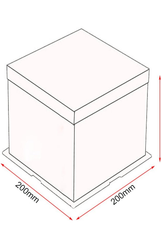 20x20x31 Clear Square Cake Box - White - TEM IMPORTS™