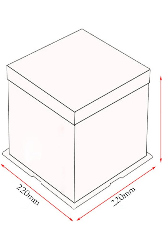 22x22x24 Clear Square Cake Box - White - TEM IMPORTS™