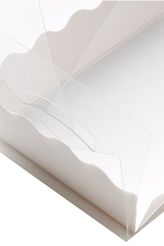 270mm Long Rectangle Transparent Box With Handle - TEM IMPORTS™