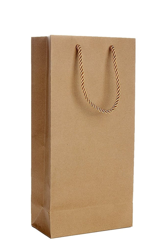 Double Wine Paper Bag With Silk Handle - TEM IMPORTS™