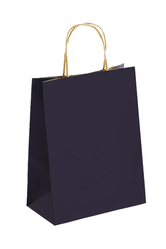 Ex Small Kraft Paper Twist Handle Bag-Navy Blue