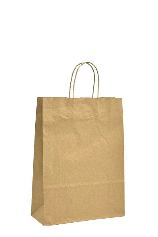 Retail Takeaway Kraft Twisted Handle Paper Bag - Medium H350